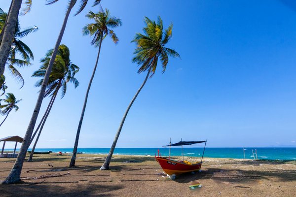 Les offres spéciales tourisme qui valent vraiment le détour