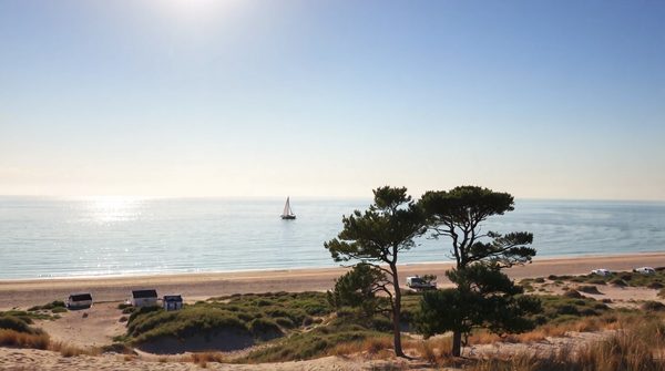 Emplacements de camping au golfe du morbihan : l'indispensable choix